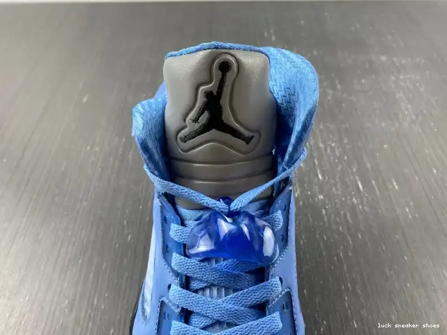 Rep LUCY 5 Jordan UNC DV1310-401 Air 0508